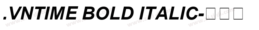 .VnTime Bold Italic字体转换